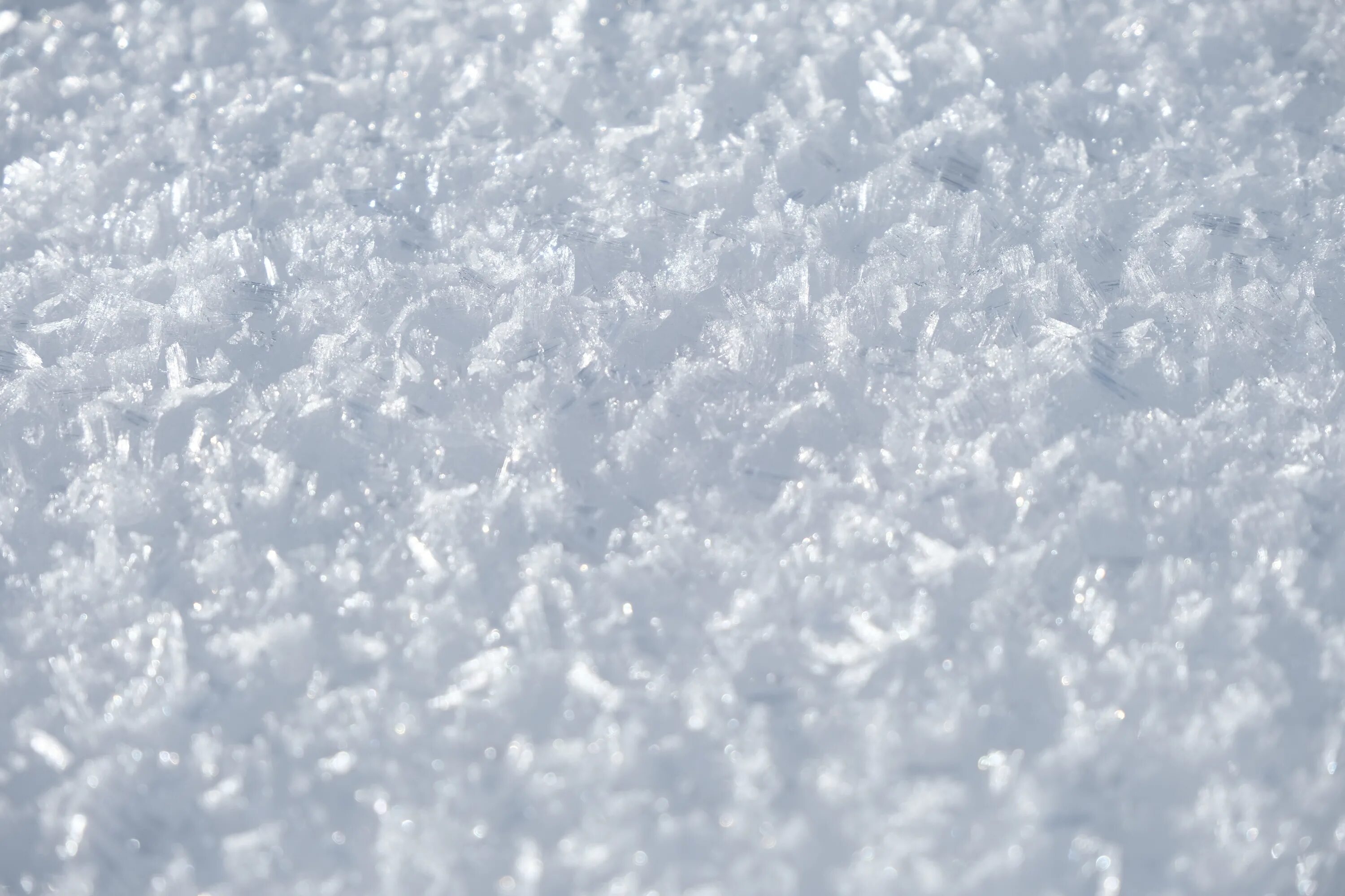 Snow frost. Деревья в морозе на аллейке. Snow frost. Красивая зима. Серебристый снег.