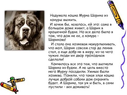Справедливость из жизни