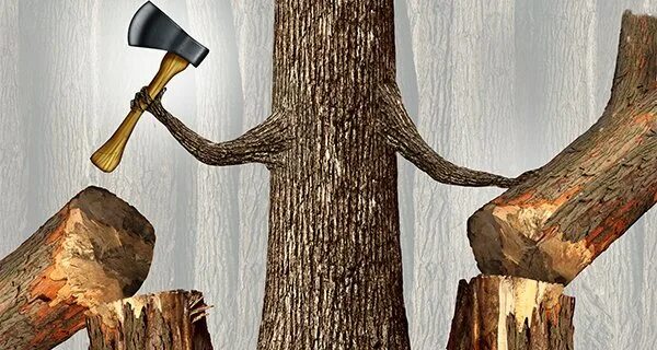 заказ лес рубят щепки. пословица лес рубят. пословица лес рубят щепки летят. пословица лес рубят щепки летят. лес рубят щепки летят картинки.