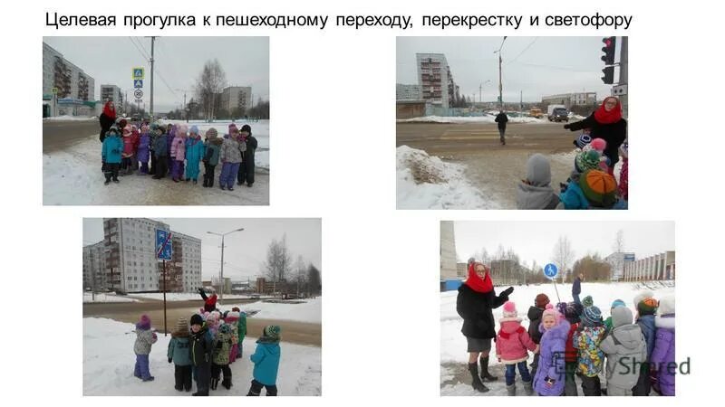 Целевая прогулка в подготовительной группе. Целевая прогулка. Целевые прогулки в ДОУ. Целевая прогулка к пешеходному переходу в подготовительной группе. Пешеходные прогулки за пределы ДОУ.