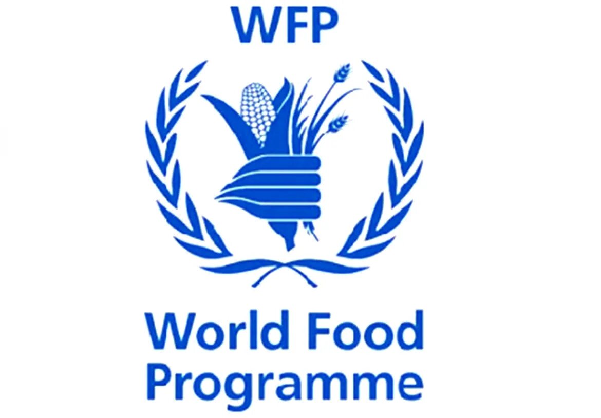 Продовольственная оон. Мировая продовольственная программа. Всемирная продовольственная программа организация. ООН WFP. ВПП ООН.