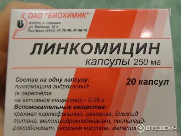 Линкомицин капсулы аналоги. Линкомицин капсулы аналоги