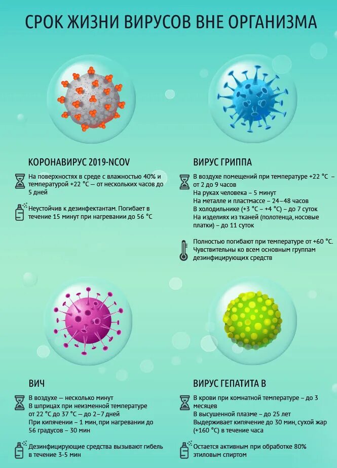 Вирус гибнет. Вирус гриппа. Вирус гриппа и коронавирус. При какой температуре погибают вирусы. Сколько живут вирусы.
