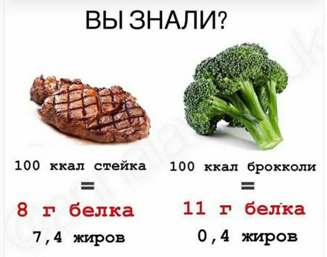 Сколько белков в капусте. Брокколи калорийность на 100. Брокколи белок на 100 грамм. Белок в брокколи и в мясе. Сколько калорий в брокколи.