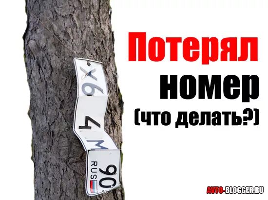 Потерял номер. Потерял номер от машины. Потерялся номер от машины. Потерянный гос номер.