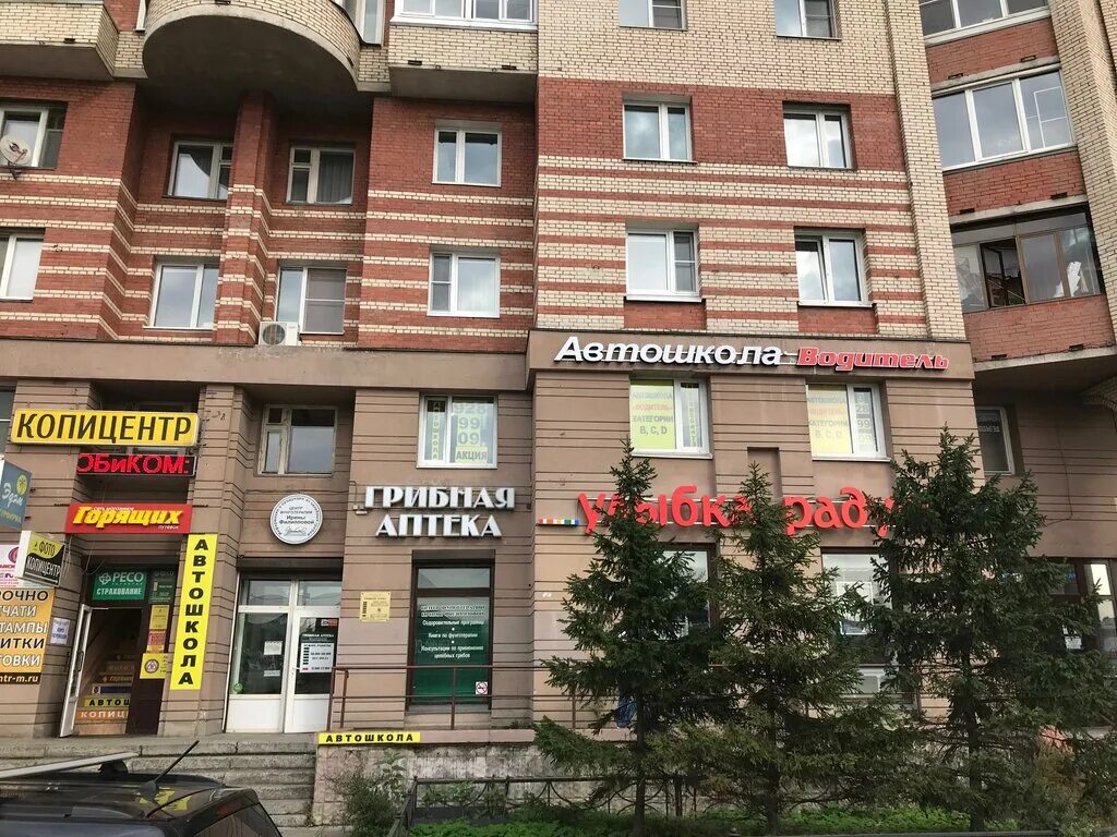 ленсовета 80. копицентр ленсовета. 97. копицентр ленсовета 88. копицентр моментом.