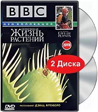 Жизнь растений том 2