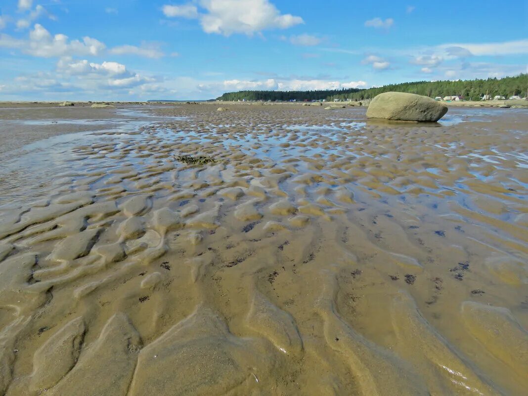 Отливы белого моря. Отлив белый. Белое море отливы и приливы. Отливы белого моря. Отливы белого моря.