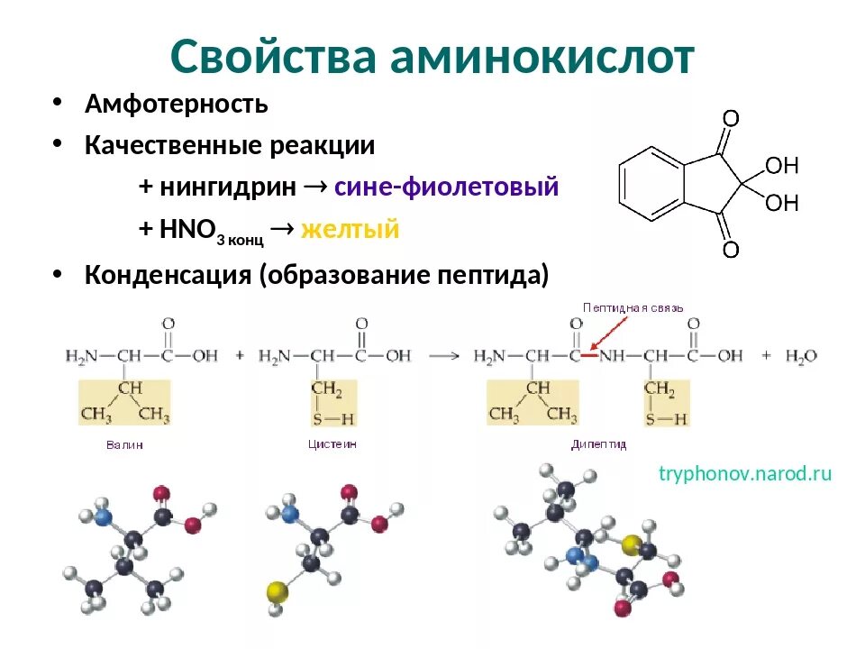 Аминоуксусная кислота свойства. Качественные реакции на аминокислоты таблица. Тирозин химические свойства реакции. Аминокислоты качественные реакции уравнение. Качественная реакция на гамма аминокислот.