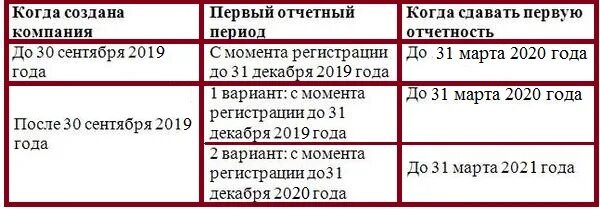 Отчеты вновь созданной организации. Отчетный год это. период когда отчитываются все государственные. первый отчетный год в санкт-петербурге. первым отчетным периодом для вновь созданных предприятий после 1.