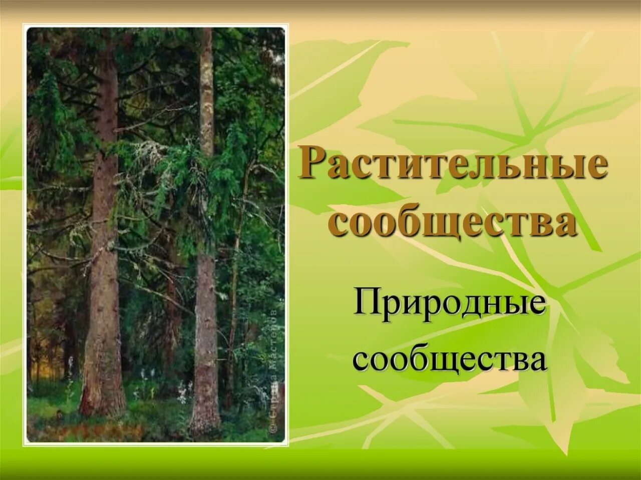 Растительное сообщество сообщение по биологии. Естественные растительные сообщества. Растительное сообщество это в биологии. Растительные сообщества презентация. Презентация на тему растительные сообщества.