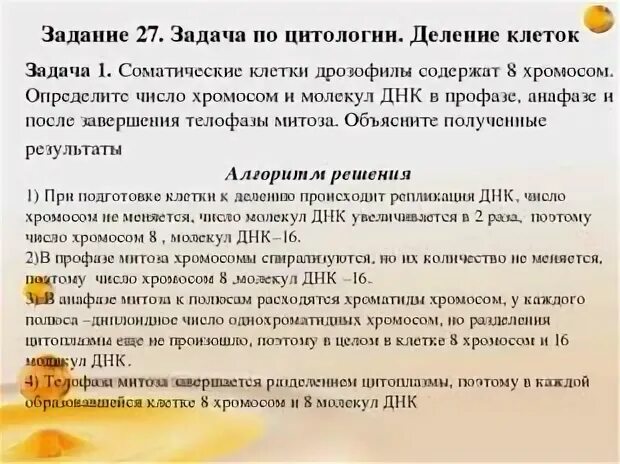 Подготовка к егэ задание 27. Задачи по биологии ЕГЭ. 27 Задание ЕГЭ по биологии. Решение задачи 27 биология ЕГЭ. Решение 27 задание ЕГЭ по биологии.