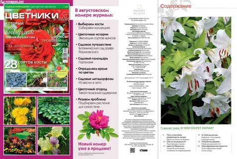 Лилия растение систематика