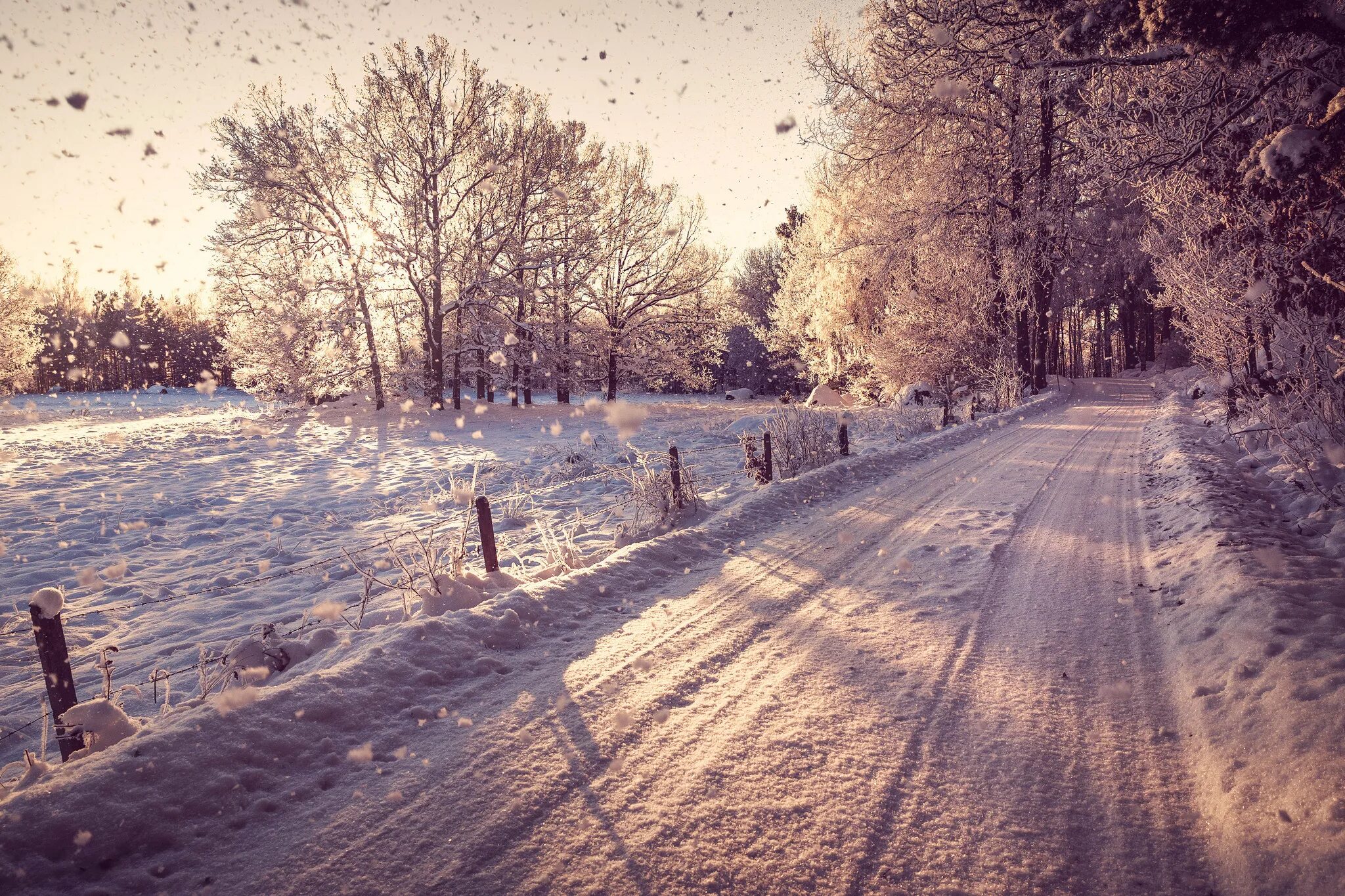 Зимняя природа. Зимние обои на рабочий стол. Зимняя дорога. Зимний город. Is winter beautiful