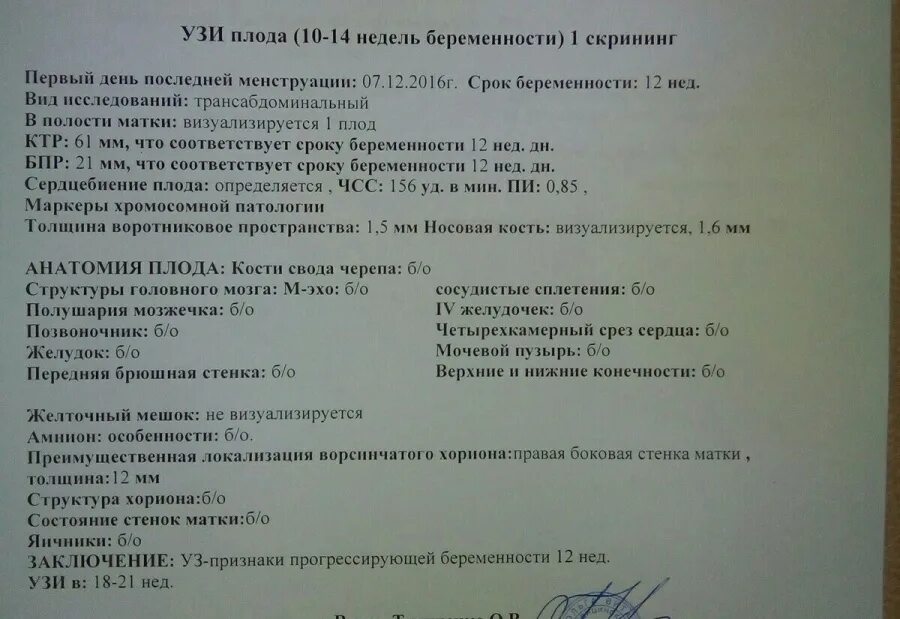 Узи при беременности сколько раз. Скрининг 1 триместра норма УЗИ 12 недель беременности. УЗИ на 12 неделе беременности скрининг нормы. Заключение УЗИ на 12 неделе беременности. Нормы УЗИ на 11-12 неделе беременности.