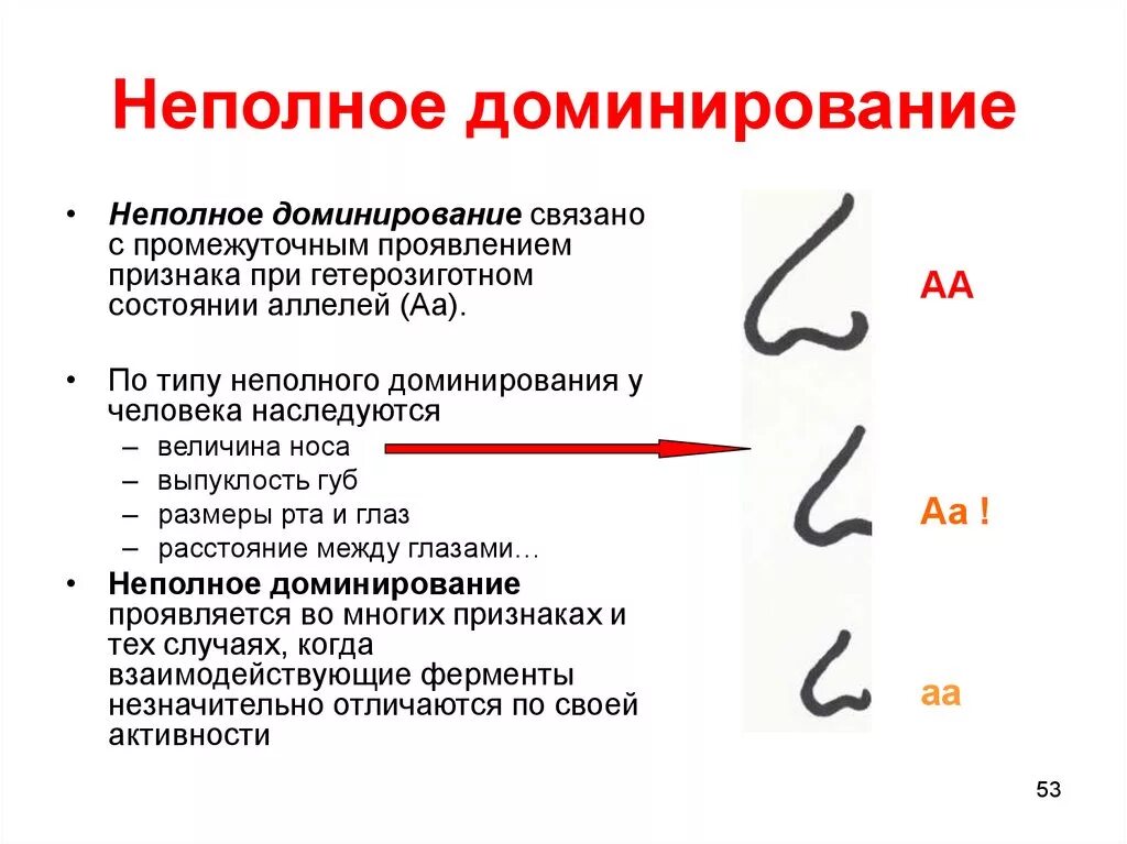 Промежуточный признак неполное доминирование. Примеры неполного доминирования признаков у человека. Неполное доминирование примеры. Не полеое доминирование.