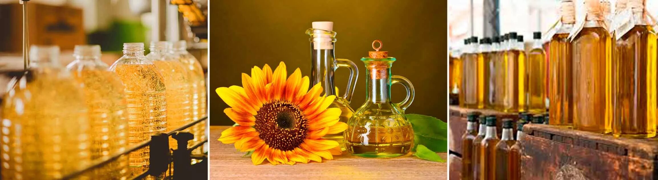 Полезные растительные масла. Оливковое масло рафинированное и нерафинированное. Полезные свойства нерафинированного масел. Полезные свойства нерафинированного масел. Масло рапсовое нерафинированное.