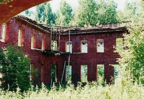 Ржевка корнево