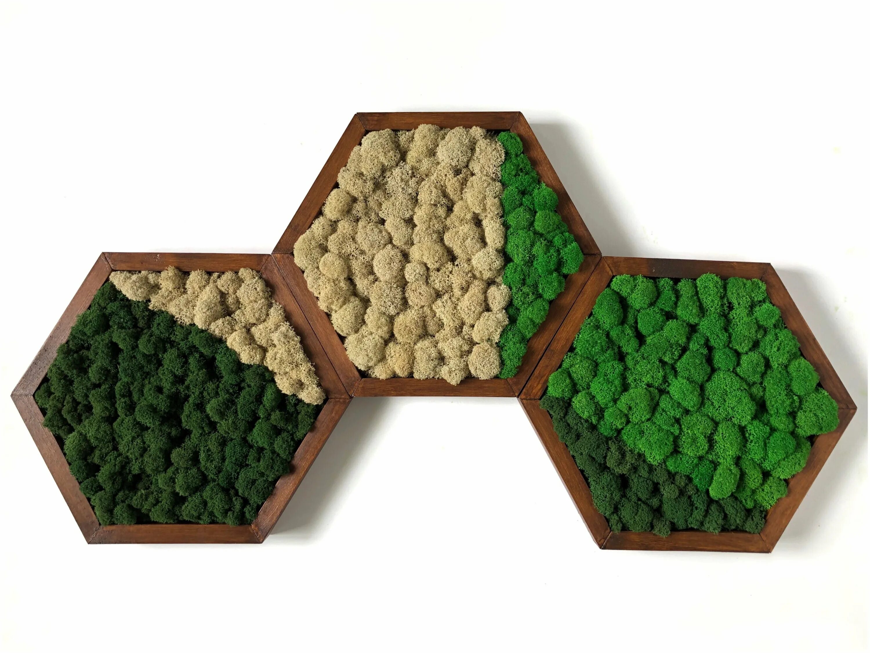 фон соты. цшк гексагон. соты пчелиные. тротуарная плитка соты 250*180*45. гексагон соты.