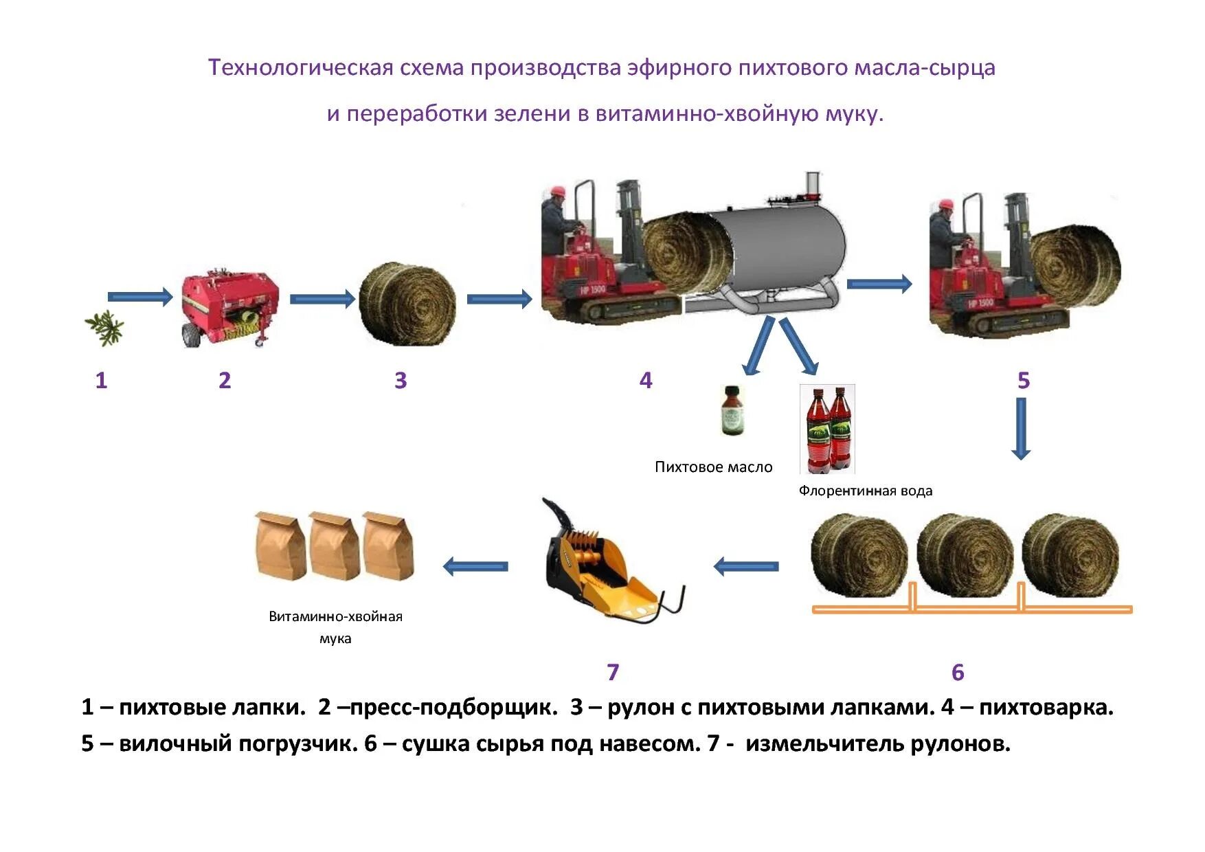 Натуральное пихтовое масло. Пихтовое масло 100 мл. Пихтовое масло производство. Пихтовое масло эфирное. Масло пихты эвалар.