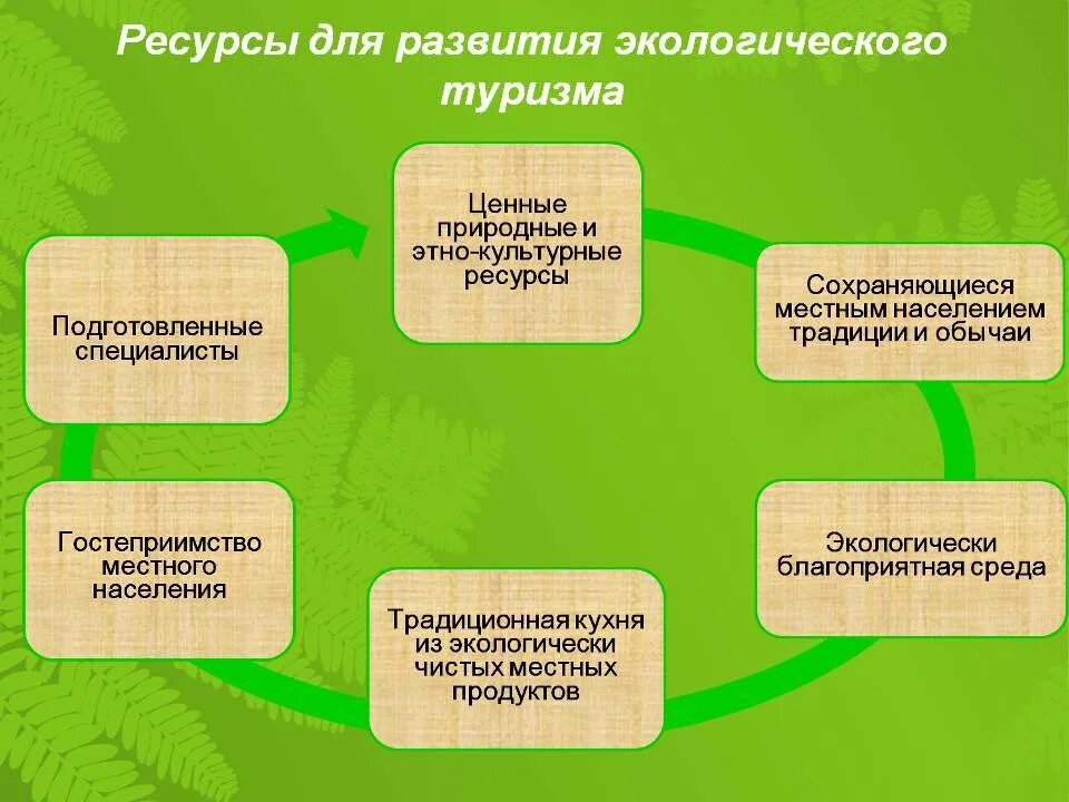 Виды устойчивого туризма. Виды устойчивого туризма. Виды экологического туризма схема. Экотуризм туризм. Базовые принципы экологического туризма.