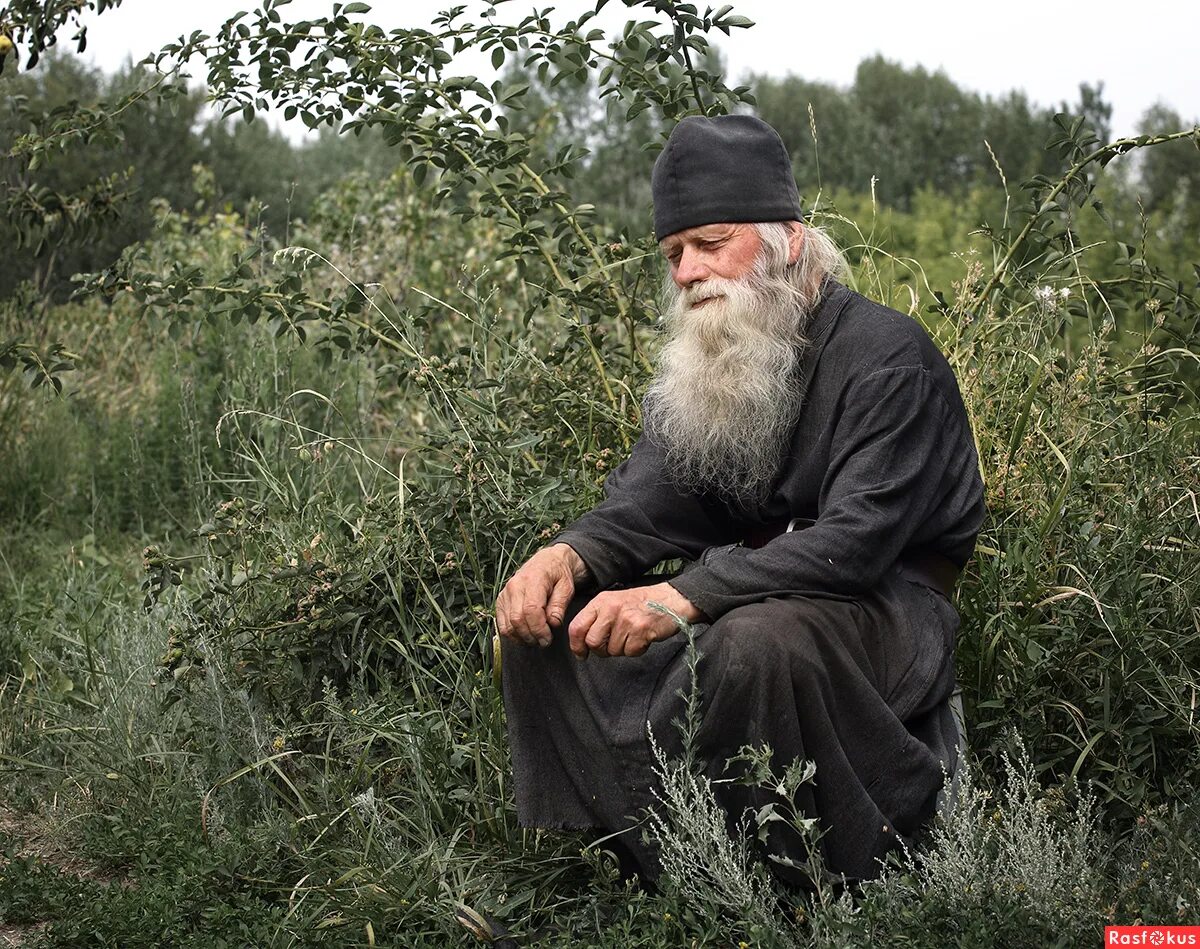 Афонские монахи 2022. Изображения монахов. Инок православный монах. Красивые монахи. Монах чепрасссссссссссов тихон.