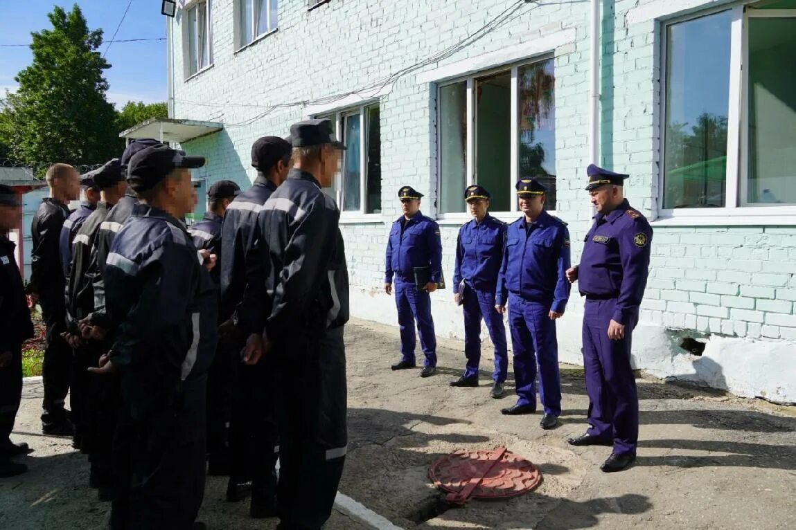 Колонии 2020