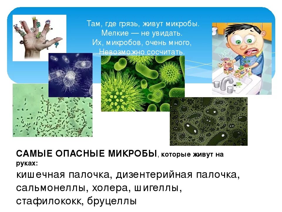 Вред наносимый бактериями. Вредные бактерии названия. Полезные и вредные бактерии. Вредные микробы и вирусы для детей. Вирусы бактерии микроорганизмы.