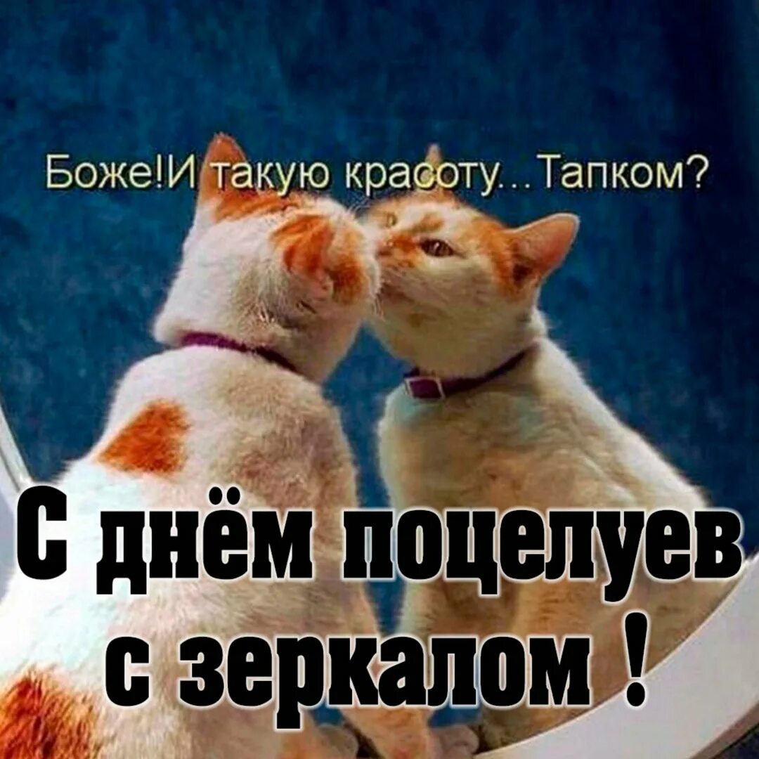 Поцеловалась с другом бывшего