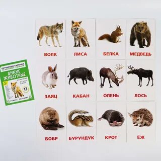 Карточки домана дети
