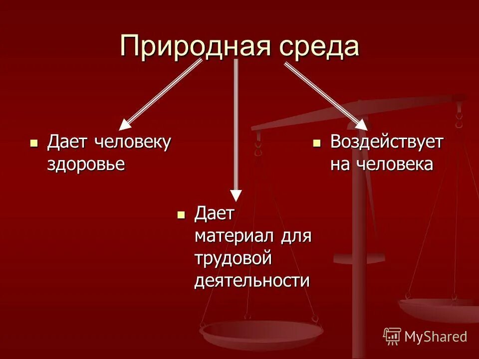 Как Трудовая деятельность влияет на личность. Данный человек является.