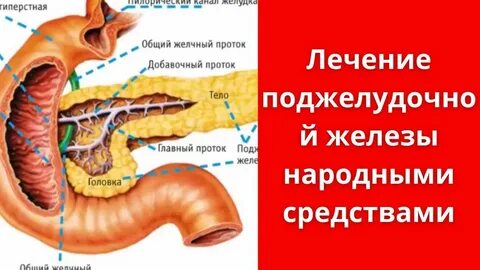 Как лечить поджелудочную железу симптомы советы врача