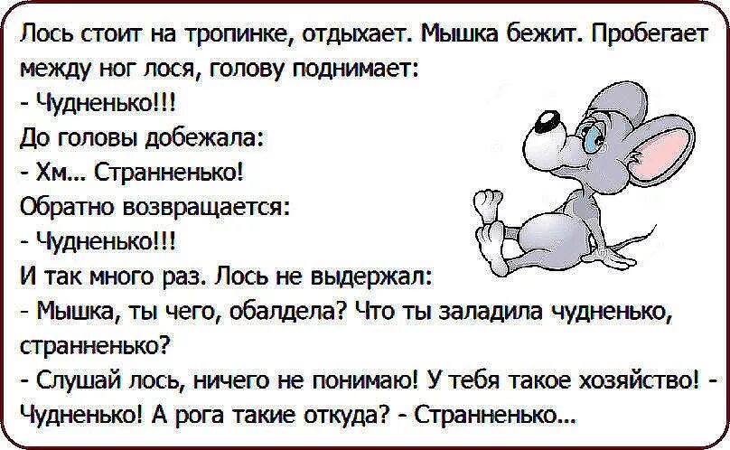 Анекдот про б. Анекдоты в картинках. Смешные анекдоты. Прикольные анекдоты в картинках. Смешные анекдоты в картинках с надписями.