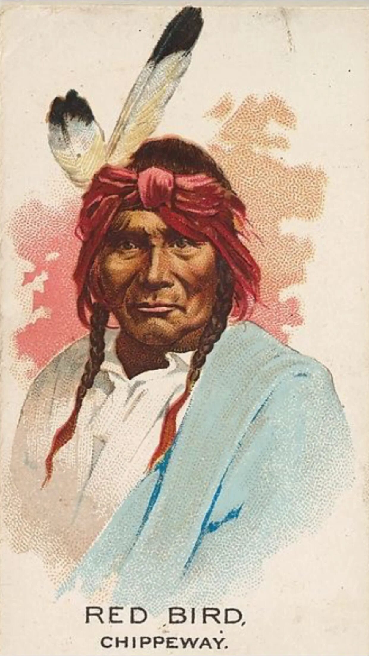 Бренд с индейцем. Марка индейцы и их птицы. The American indian Chiefs Series. Chief cigarettes. Индеец марка