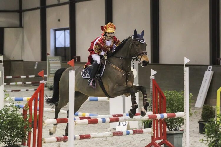 Костюмы на новый год для конкура. Дмитрий дейнеко конкур. Костюмированные соревнования по конкуру. Конкур на новый год. Конкур на новый год.