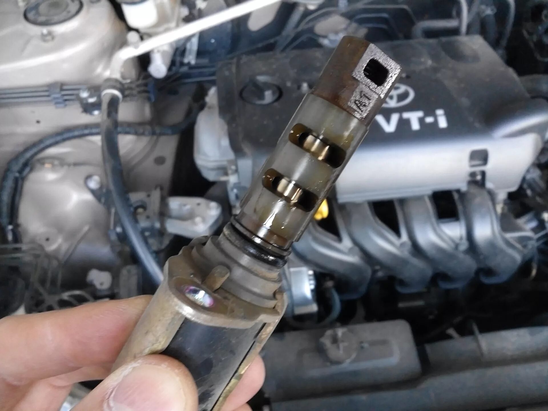 Сетка vvti. 1zr-Fe клапана VVT-I.. Сетка VVTI 2zz. Клапан VVTI 1zz-Fe. Сетка фильтр VVTI 4zz-Fe.