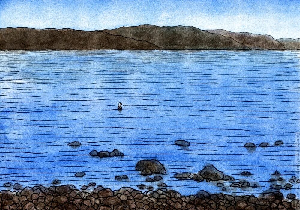 Как рисуется озеро. Озеро рисунок. байкал для рисования. озеро байкал рисунок. озеро байкал для детей.