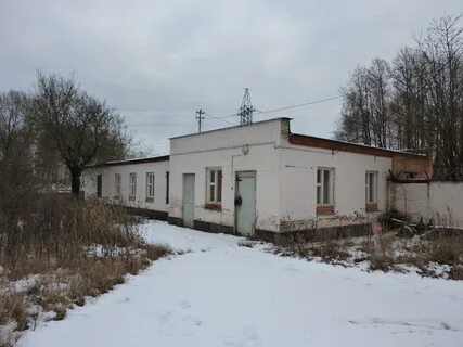 Чехов 8