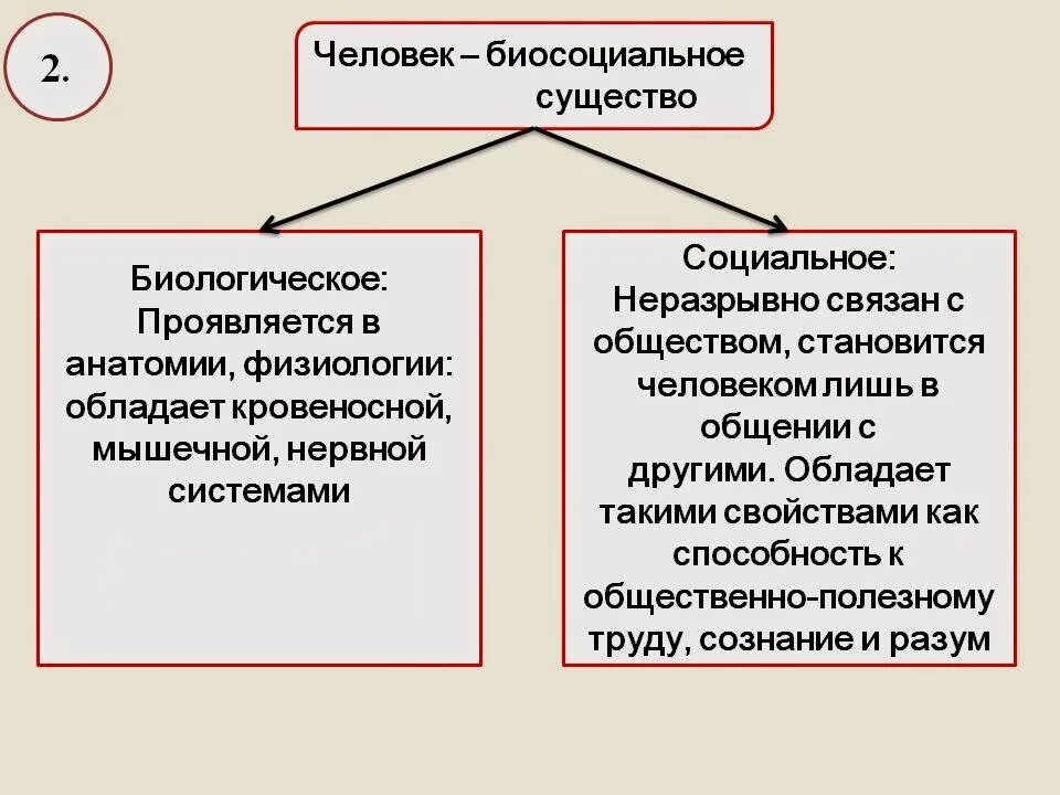Доказательства что человек биологическое существо