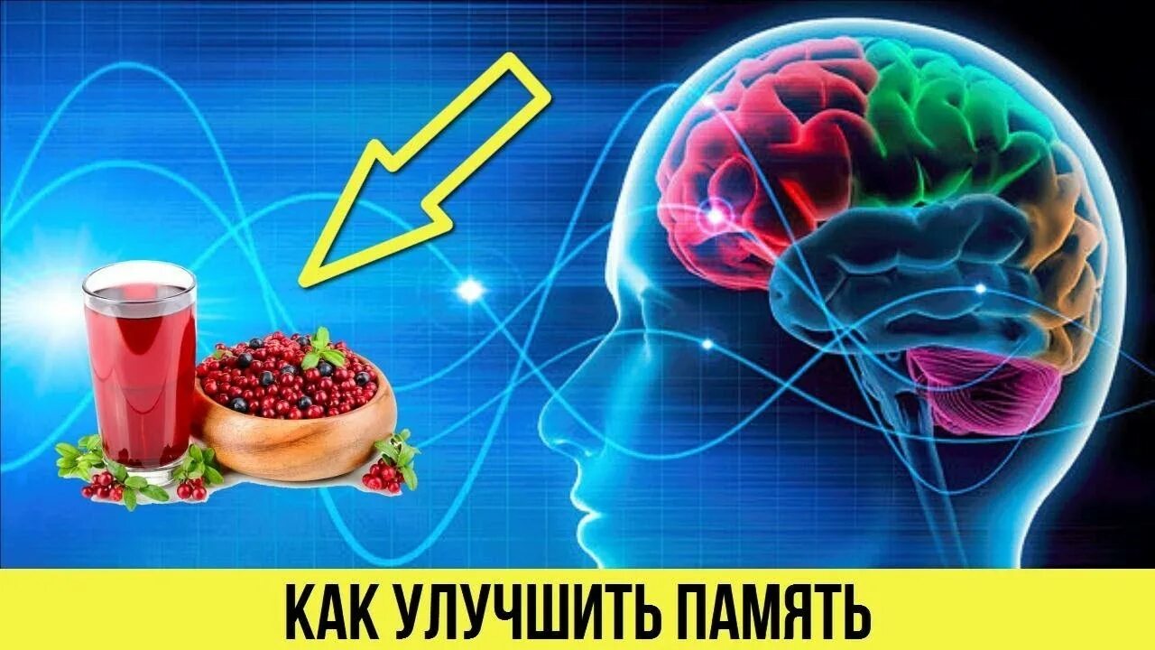 Улучшение работы головного мозга и памяти. Улучшить память. Напитки для мозга памяти. Улучшение памяти. Улучшить память и внимание.