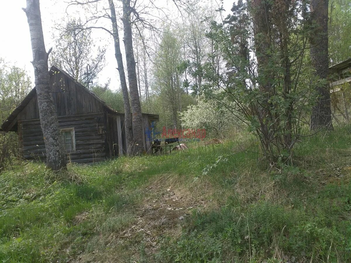 Погода в ленинградской области мельниково приозерского. Пос Мельниково Приозерский район. Посёлок Мельниково Приозерский р-н. Посёлок Мельникова в Ленинградская обл. Мельниково Приозерский район летом.