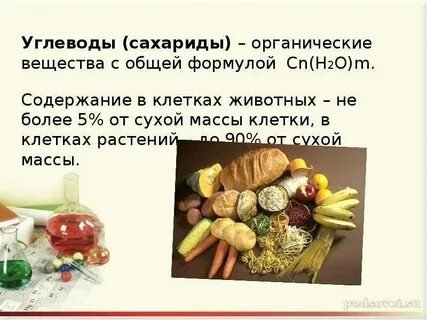 Проверочная работа по биологии 9 класс углеводы
