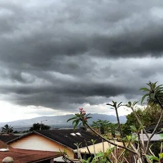 Pearl city