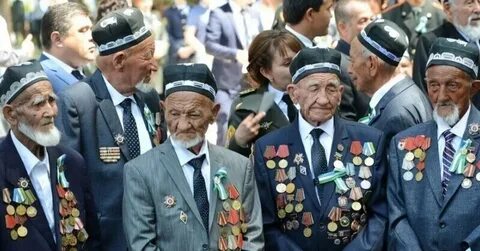 Без почестей