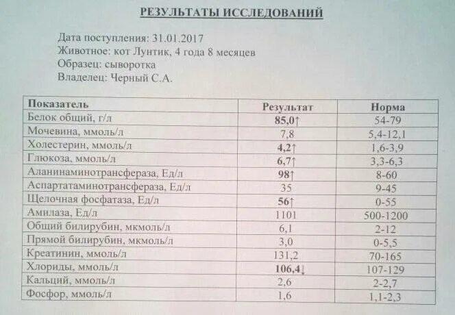 Щелочная фосфатаза в крови повышена у ребенка