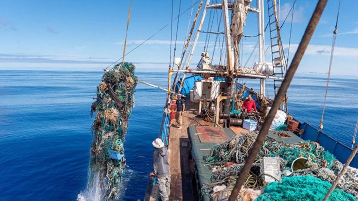 Хозяйственная деятельность людей в океане. Пластик в океане. Загрязнение мирового океана.