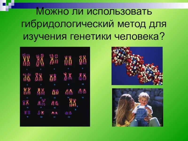 Методы исследования в генетике человека. Генетика человека методы. Методы изучения наследственности человека. Методы изучения генетики человека гибридологический метод.