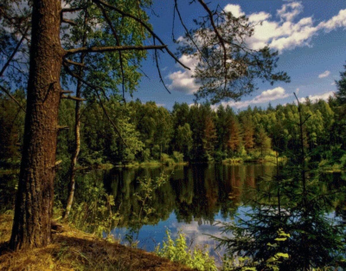 Рисунки карандашом природа. Леса легкие реки. Леса легкие реки. Сельва бразилии. Салаирский кряж высота.