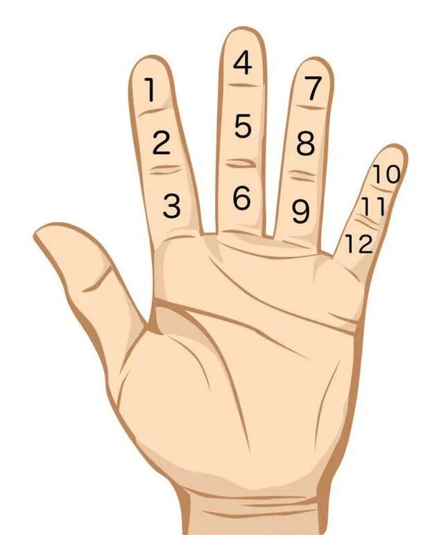 Система счисления на пальцах. Счёт дюжинами на пальцах. Десять пальцев на руке. Десятичная система счисления на пальцах. Можно считать на пальцах