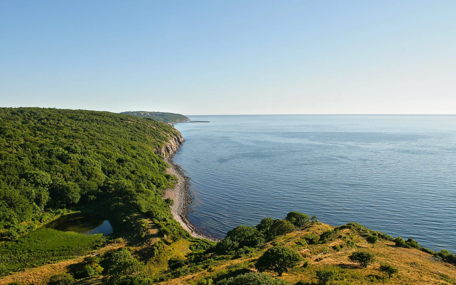 Лес любит море. Мыс Сосновый Приморский край. Природа море. Леса Дании. Прибрежный пейзаж.